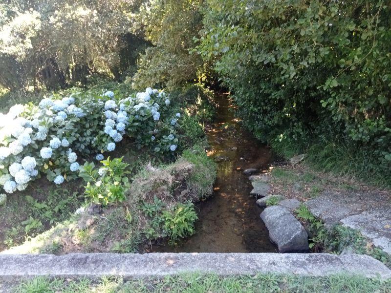 IMG20240724161148