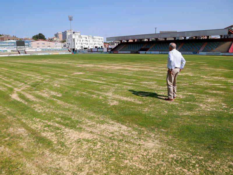 Campo