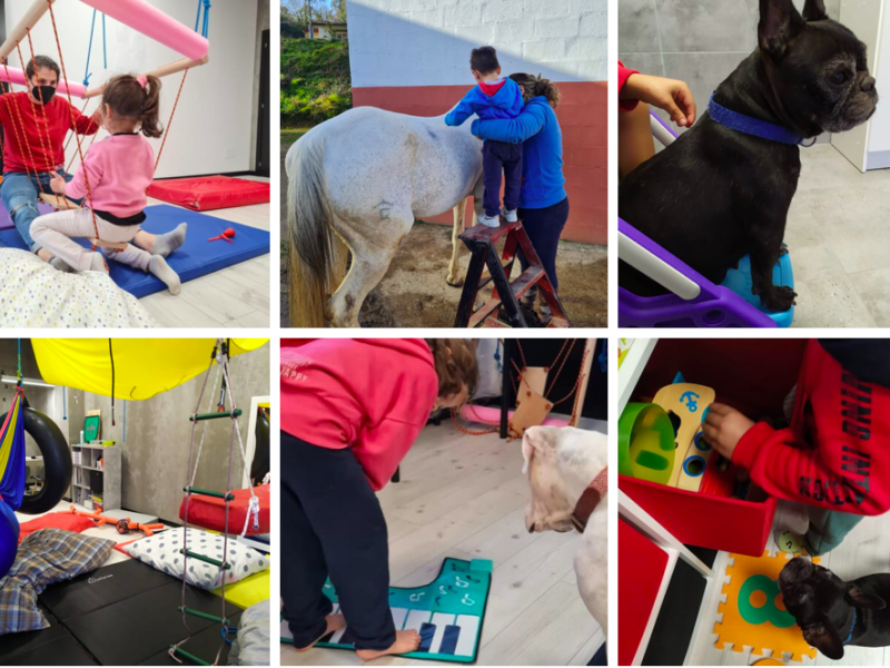 Centro Hitos Terapia con Animales 2
