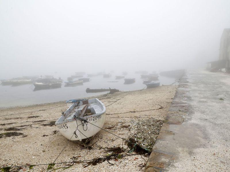 Niebla carril