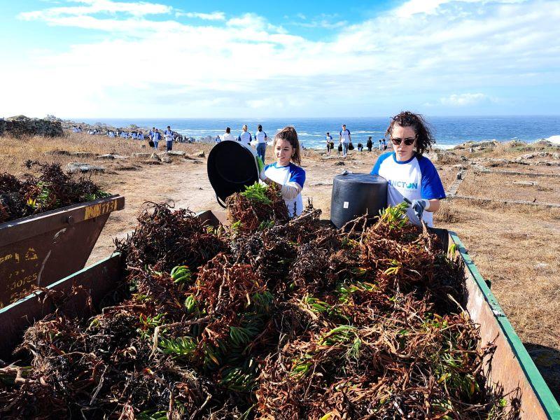 Corrubedo PLANCTON 14