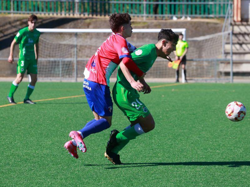 Arosa juvenil
