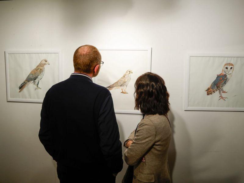 Exposición aladas cambadesa lara rey