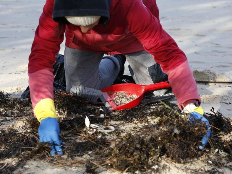 Limpieza pellets A Ilal voluntarias