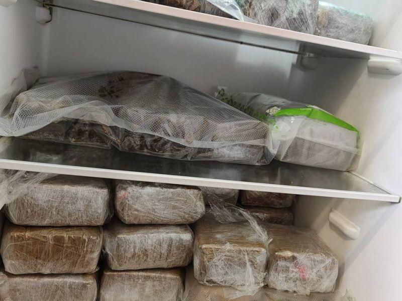 Marihuana nevera