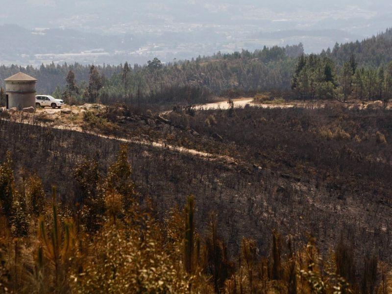 Monte xiabre quemado incendio 2022