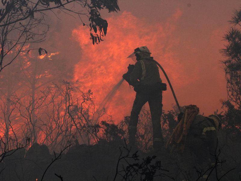 Incendio forestal bombero brigadista