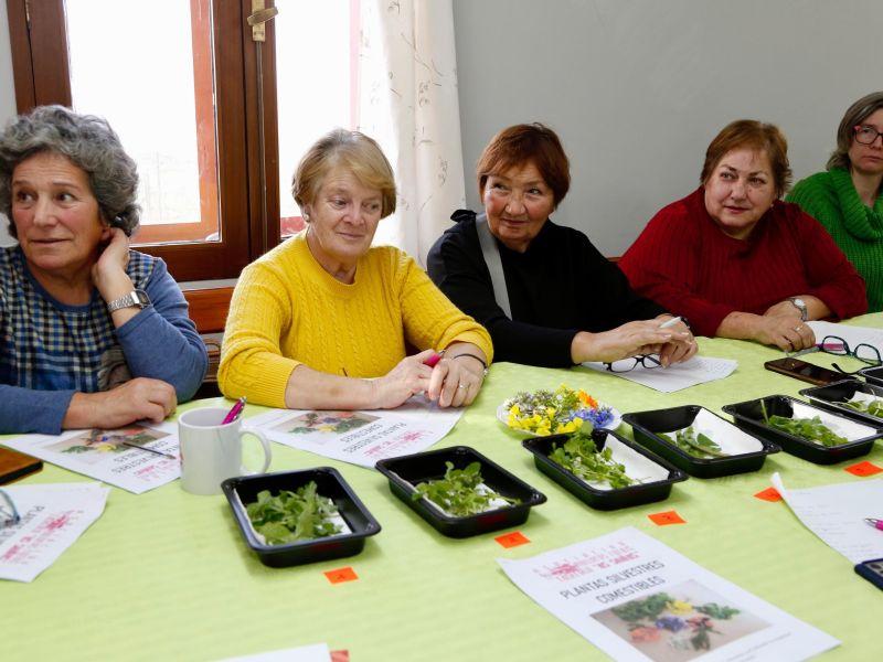 Taller plantas silvestres comestibles as saíñas castrelo cambados
