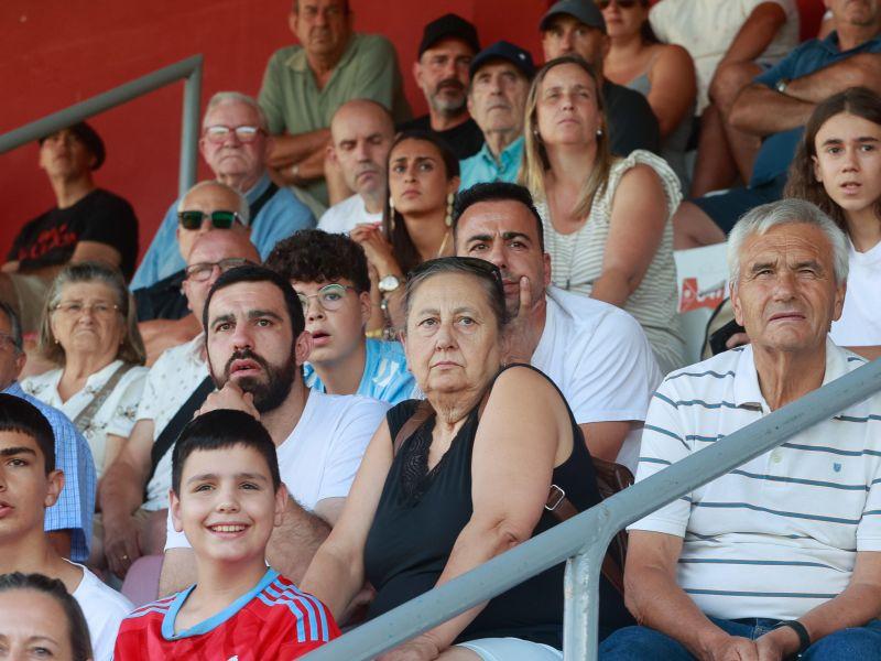 Aficion
