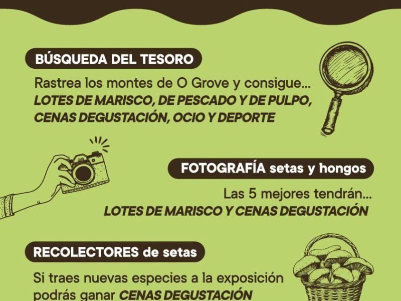 Premios micogrove