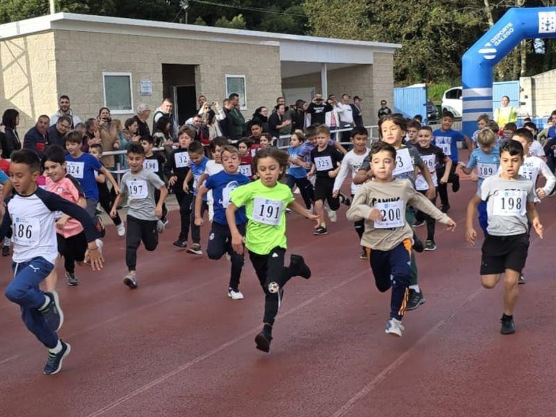 Polish 20241120 131819607