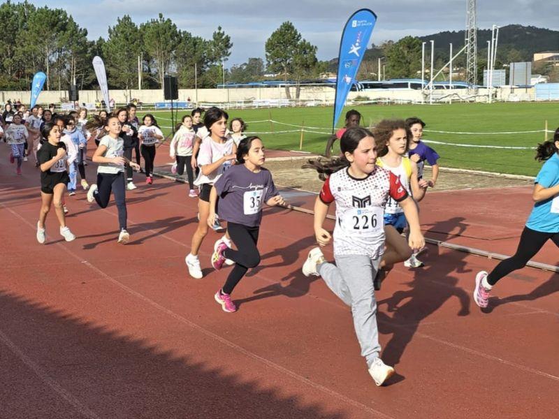 Polish 20241120 132118549