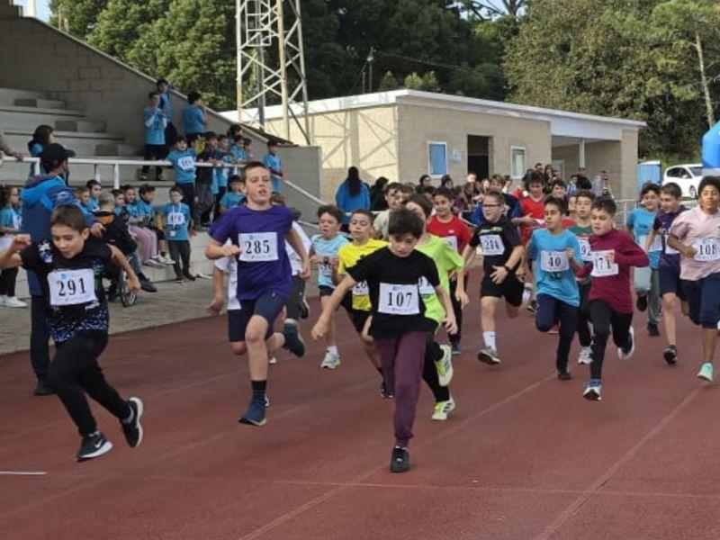 Polish 20241120 132619138