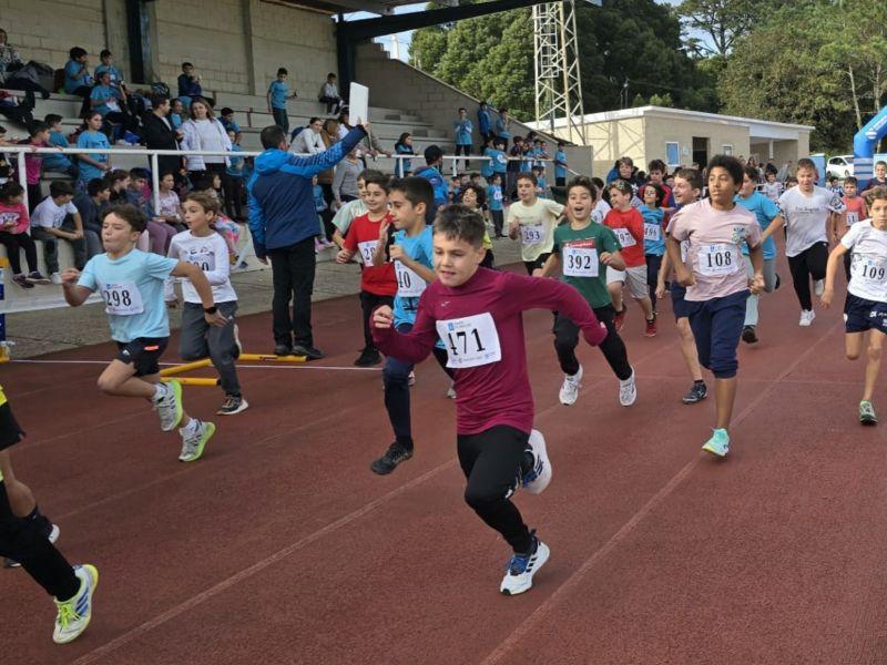 Polish 20241120 132734225