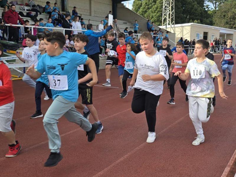 Polish 20241120 132810438