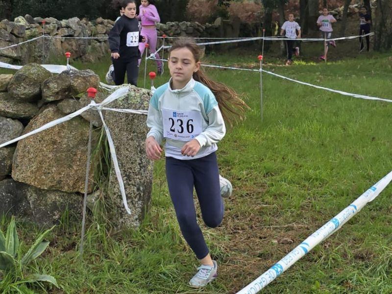 Polish 20241120 132151020
