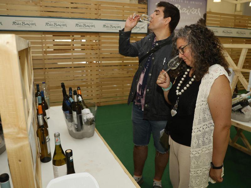 Túnel vino festa albariño cambados do rías baixas