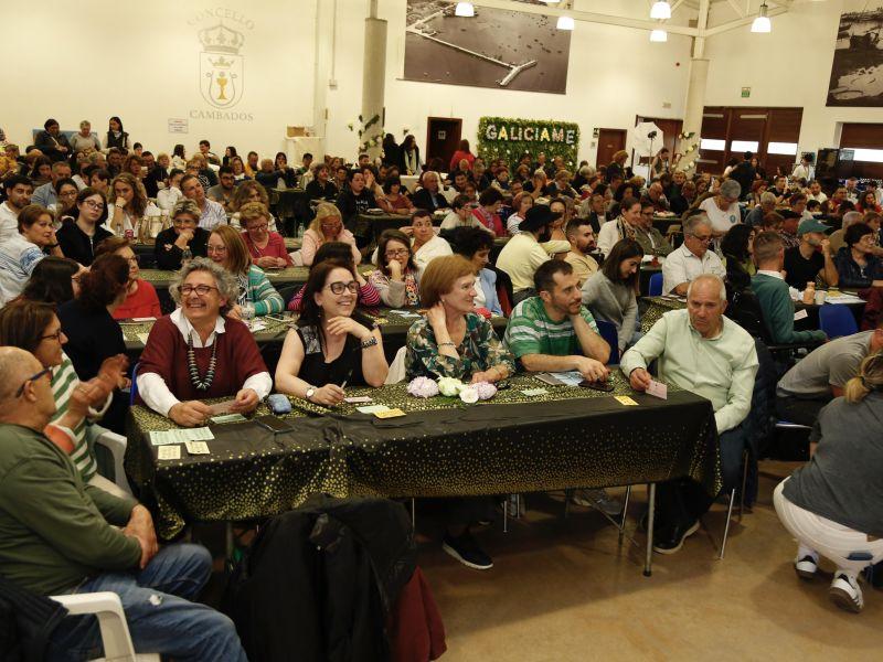 Galiciame publico peu00f1a