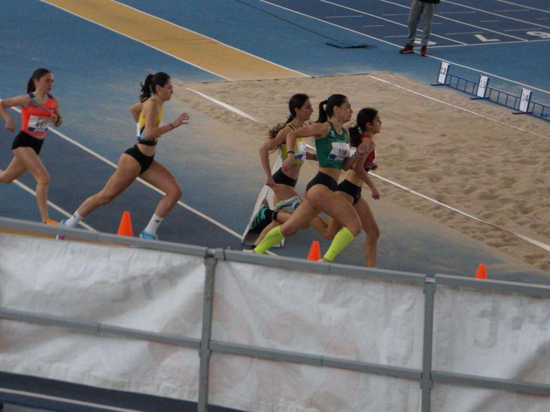 Celia 2