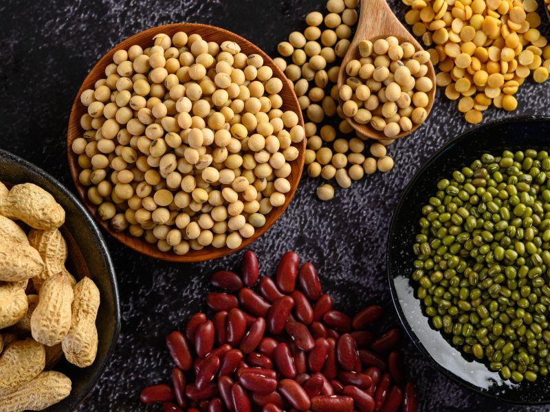 Surtido de legumbres y frijoles en el piso de cemento negro