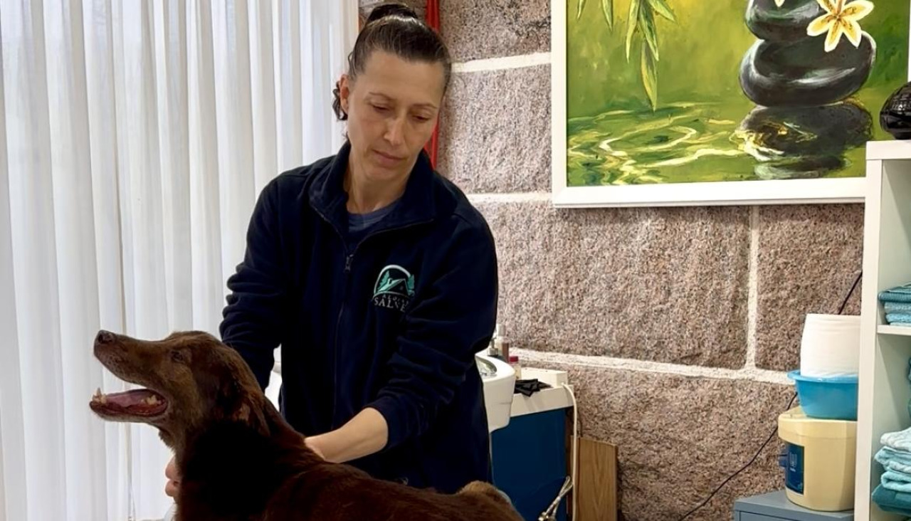 Patricia Carballo en una sesión de tratamiento con un perro