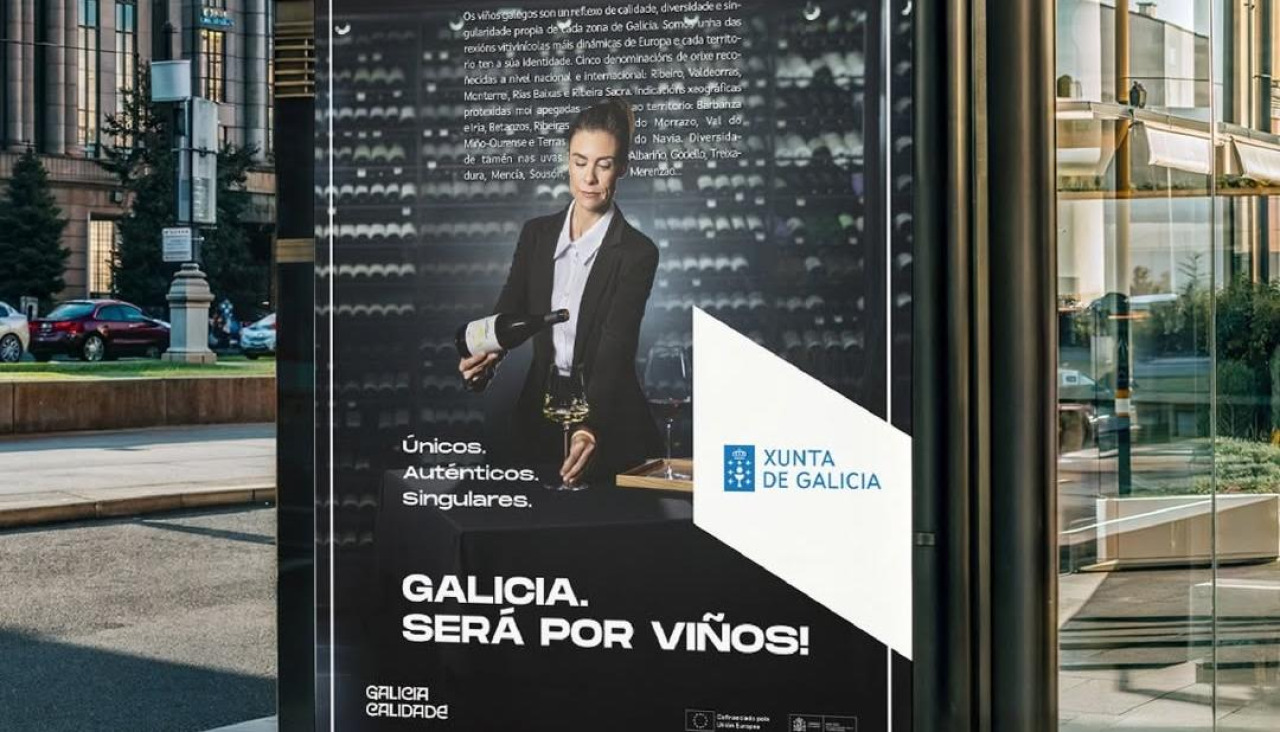 Infografía sobre la campaña publicitaria