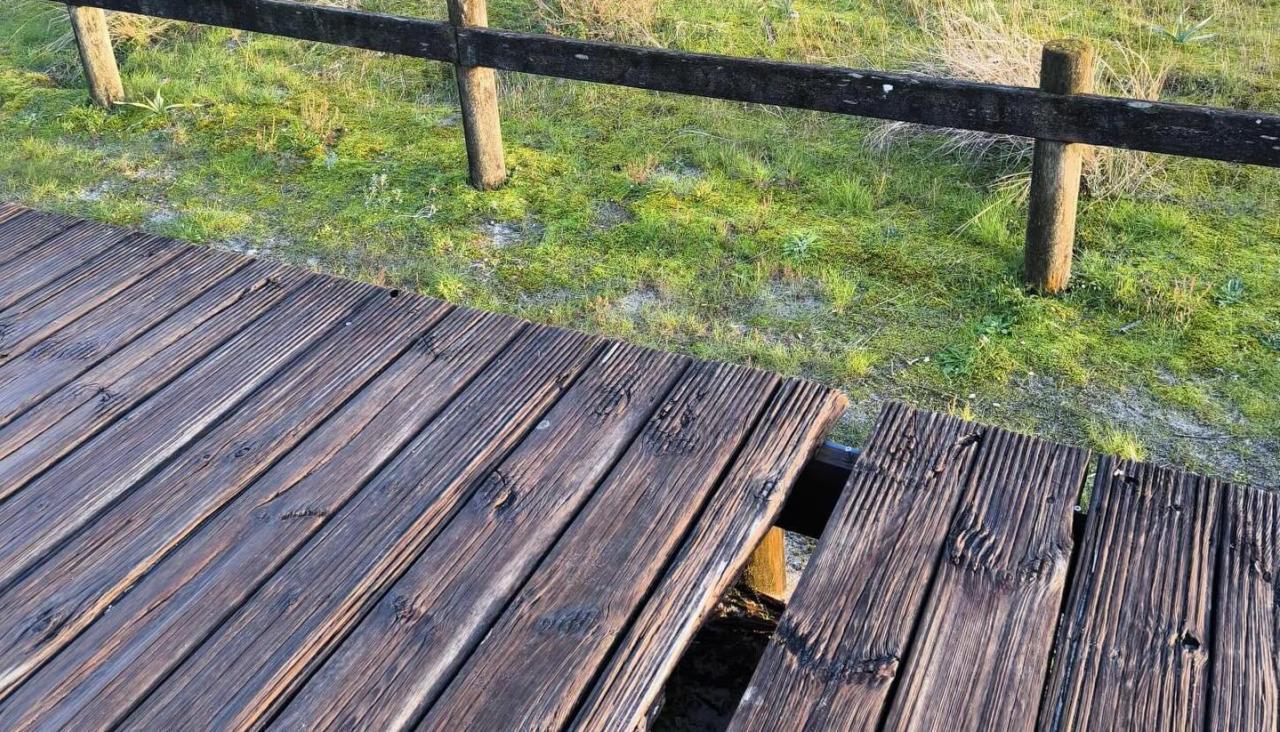 Imagen del estado de las tablas del paseo de Baltar
