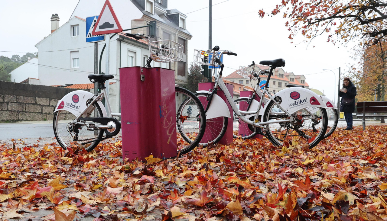 Imagen de una de las estaciones del servicio del VaiBike
