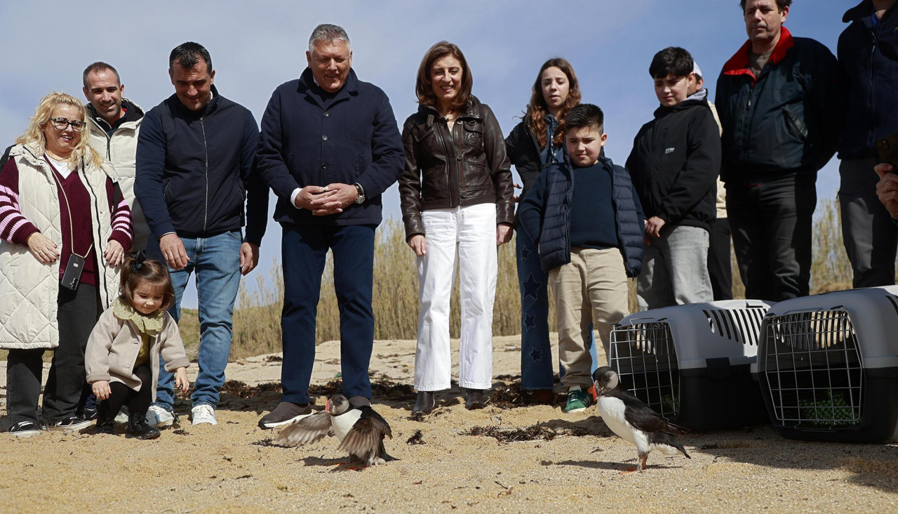 Momento de la liberación de los ejemplares
