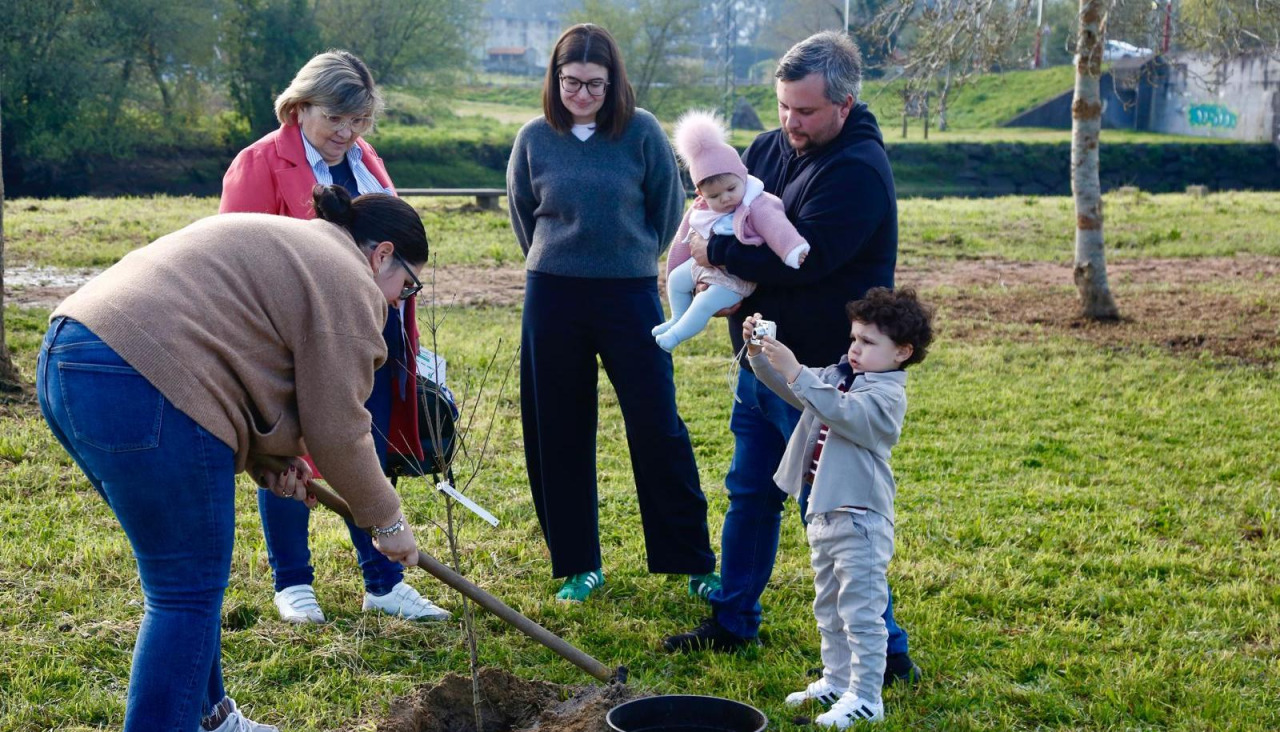 Un momento de la plantación