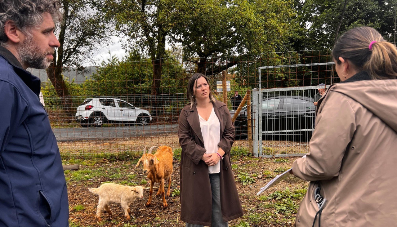 La diputada provincial de Medio Rural, Cristina Capelán, visitó la comunidad de montes de Pena-Leiro para conocer de primera más su actividad y el destino de la ayuda otorgada