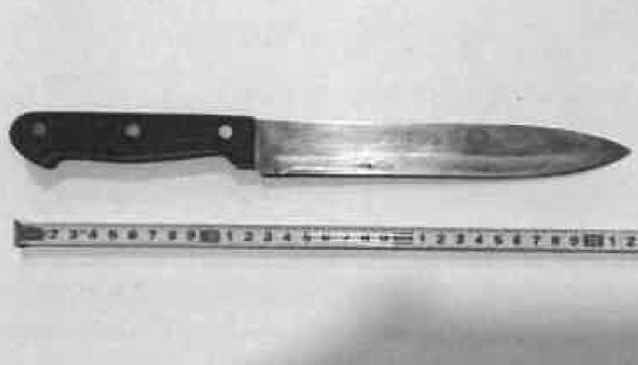 El cuchillo usado para cometer los delitos que se le atribuyen es de 32 centímetros de longitud, de los que 20 son de hoja