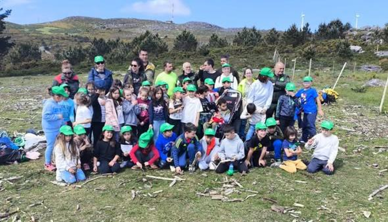 Alumnado de 2º de Primaria del colegio de Bandaseca participó ayer en una plantación de castaños en el monte de A Curota".