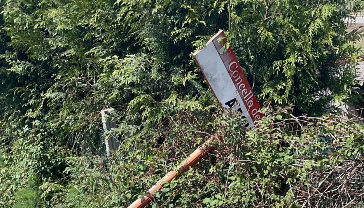 Zonas cubiertas de maleza en Catoira