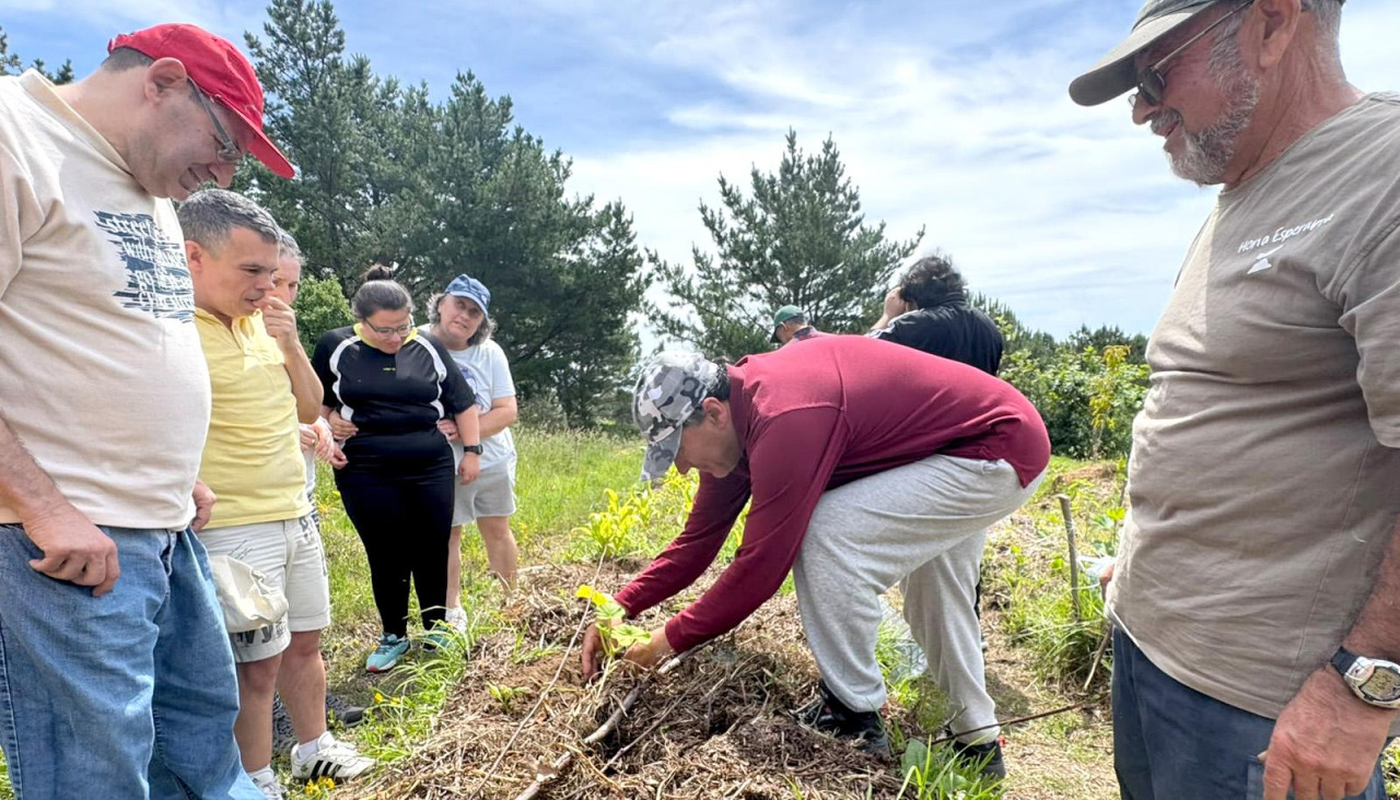 Ambar y Sachos á Rúa conmemoraron el Día Mundial del Medio Ambiente en el denominado 'Bosque Comestible¡ del parque periurbano de San Roque