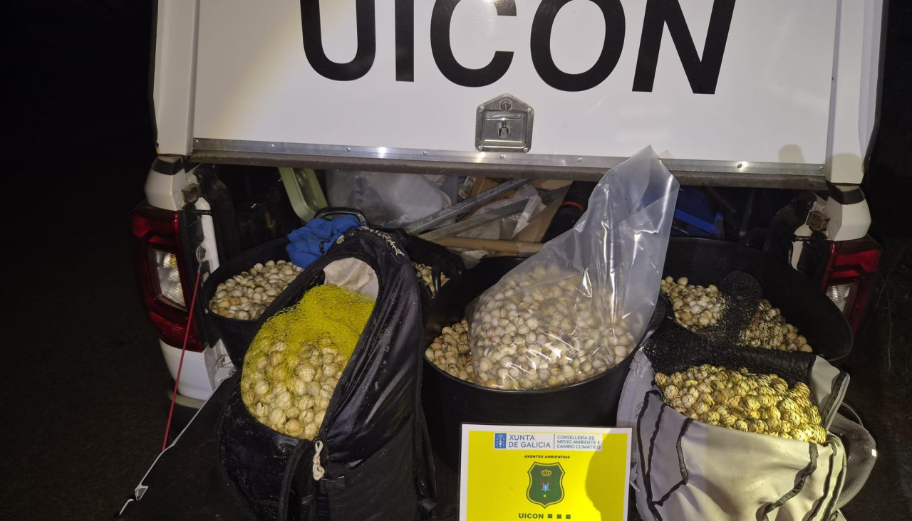 Los moluscos interceptados por la Uicon