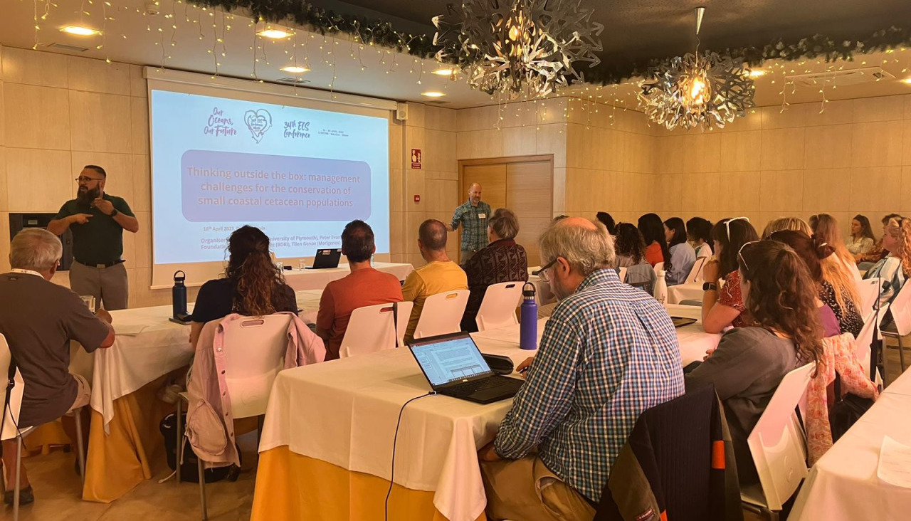 Congreso BDRI workshops