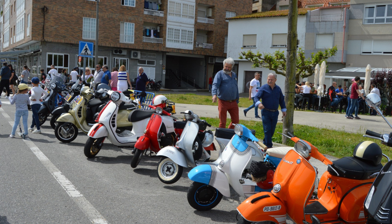 Concentracion vespa raiada portonovo