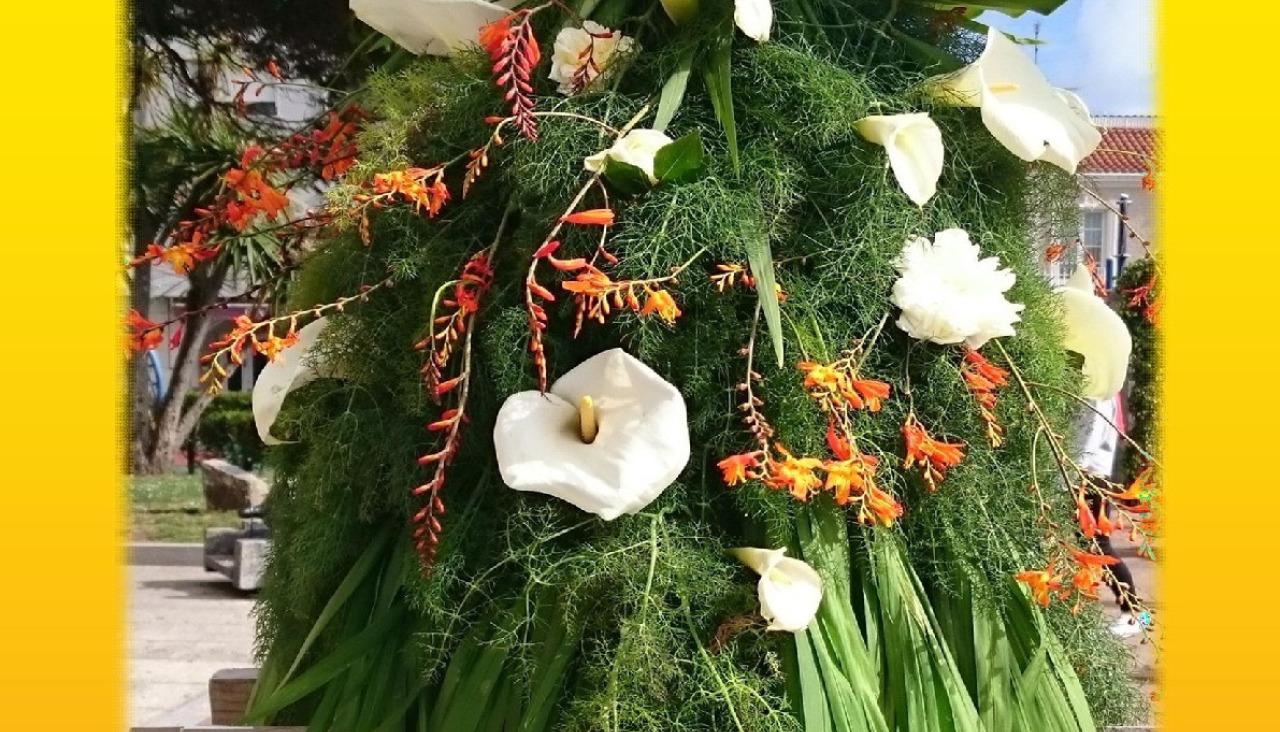 Festa dos maios o grove