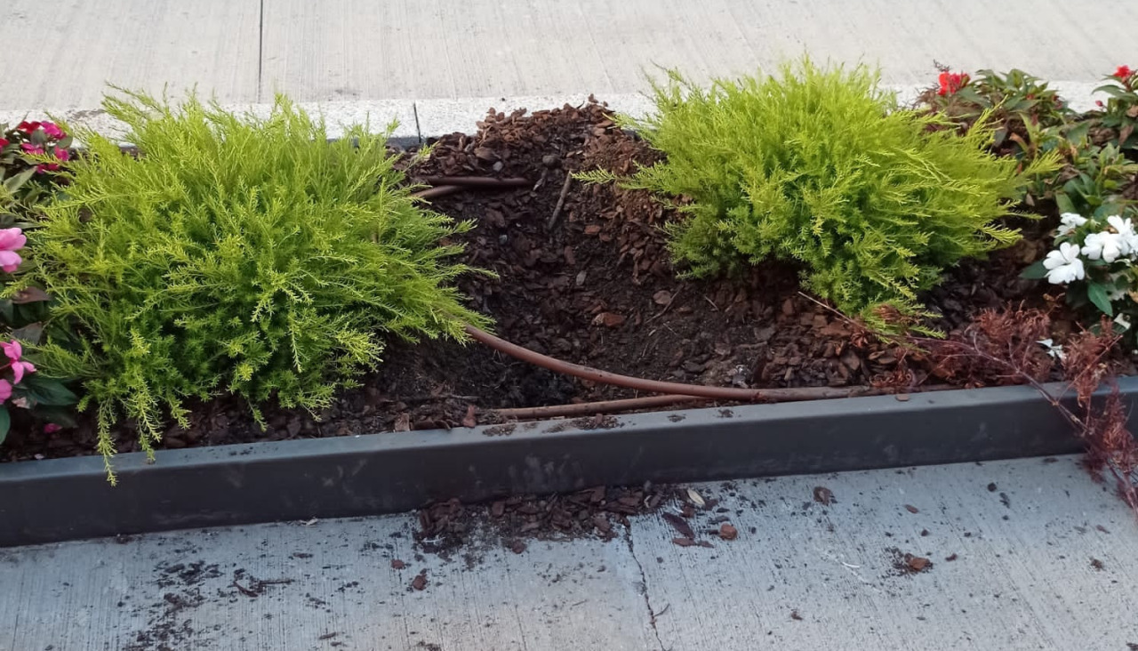 Jardinera grove vandalismo