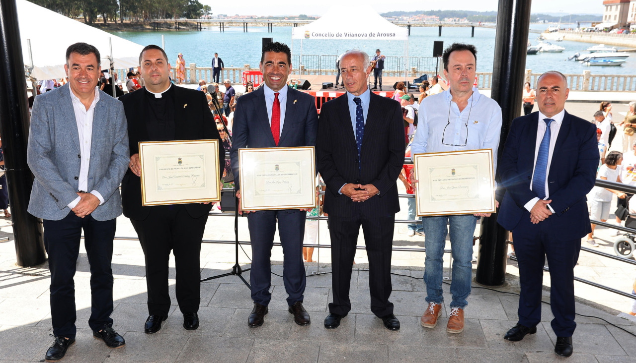 Insignias mejillu00f3n Vilanova