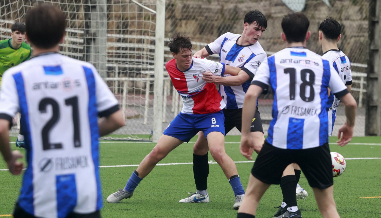 Arosa aviles