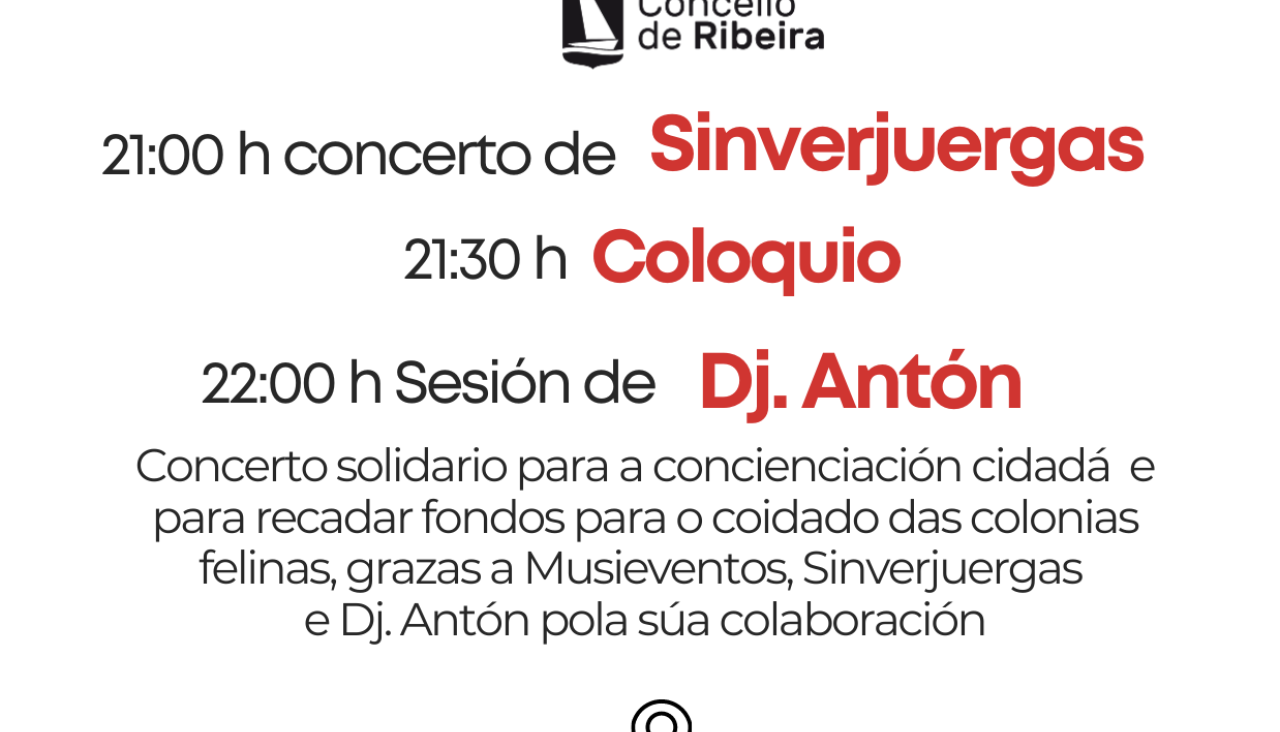 Concerto solidario