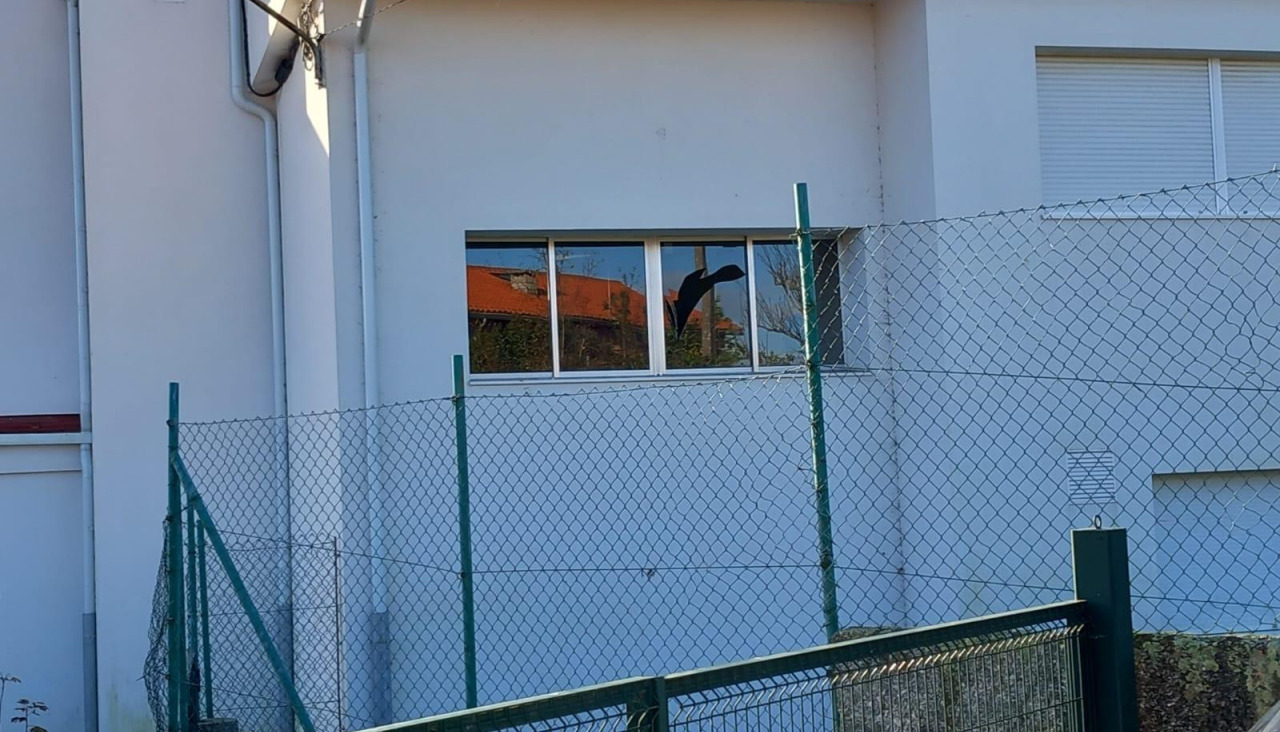Vandalismo no CPI Julia Becerra Malvar e na Escola Infantil Ribadumia