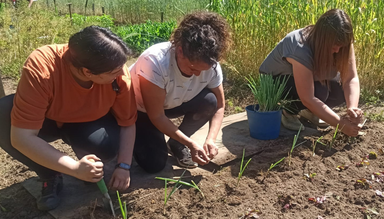 Curso cultivo biointensivo plan emprego mancomunidade do salnés