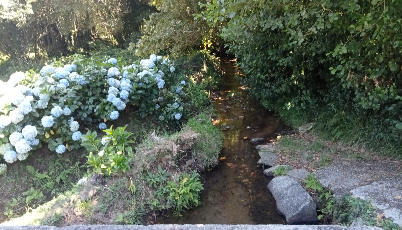IMG20240724161148