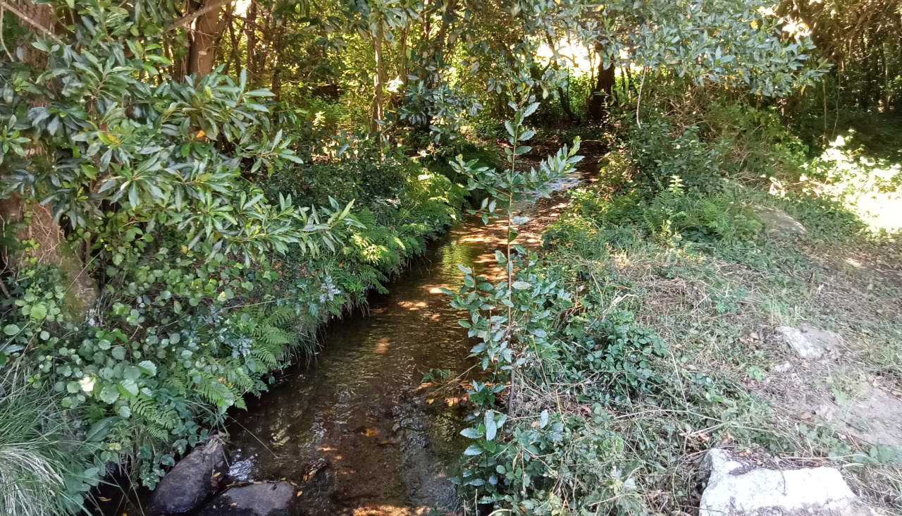 IMG20240724161352