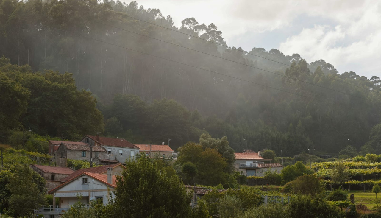 Incendio forestal A Armenteira Meis