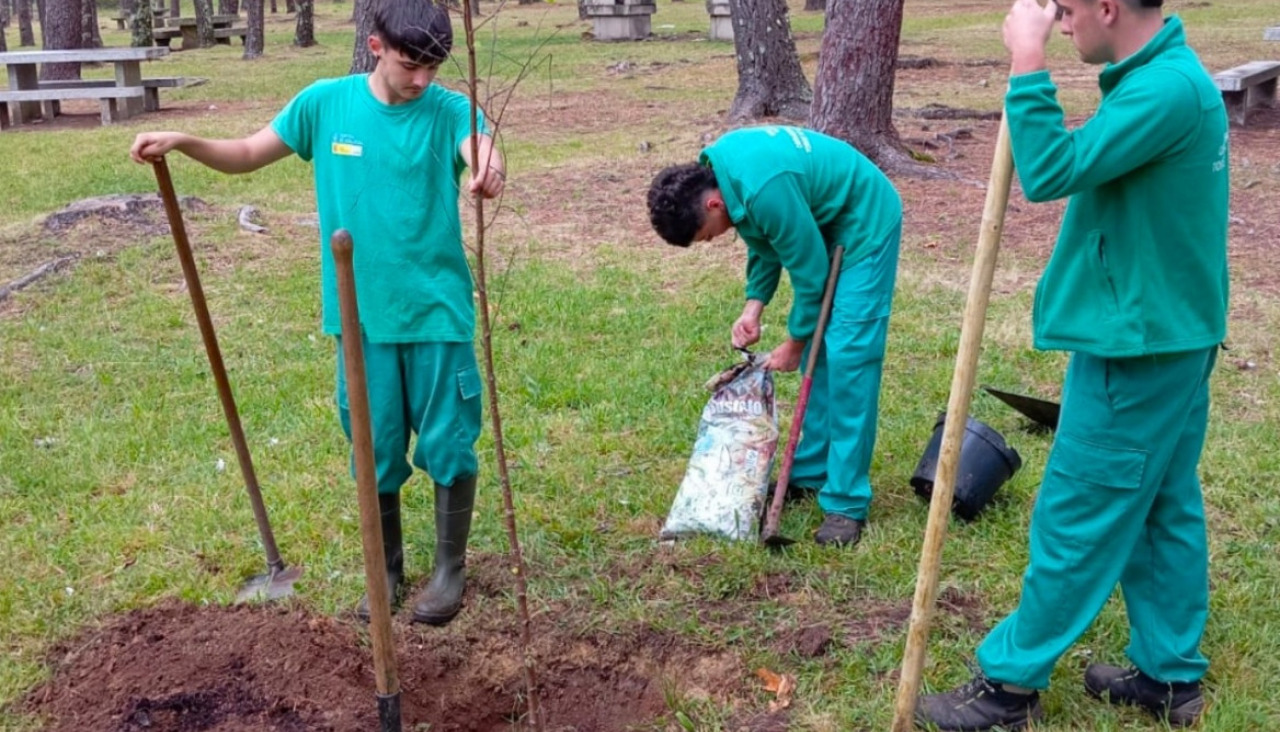 Polish 20250625 123323374