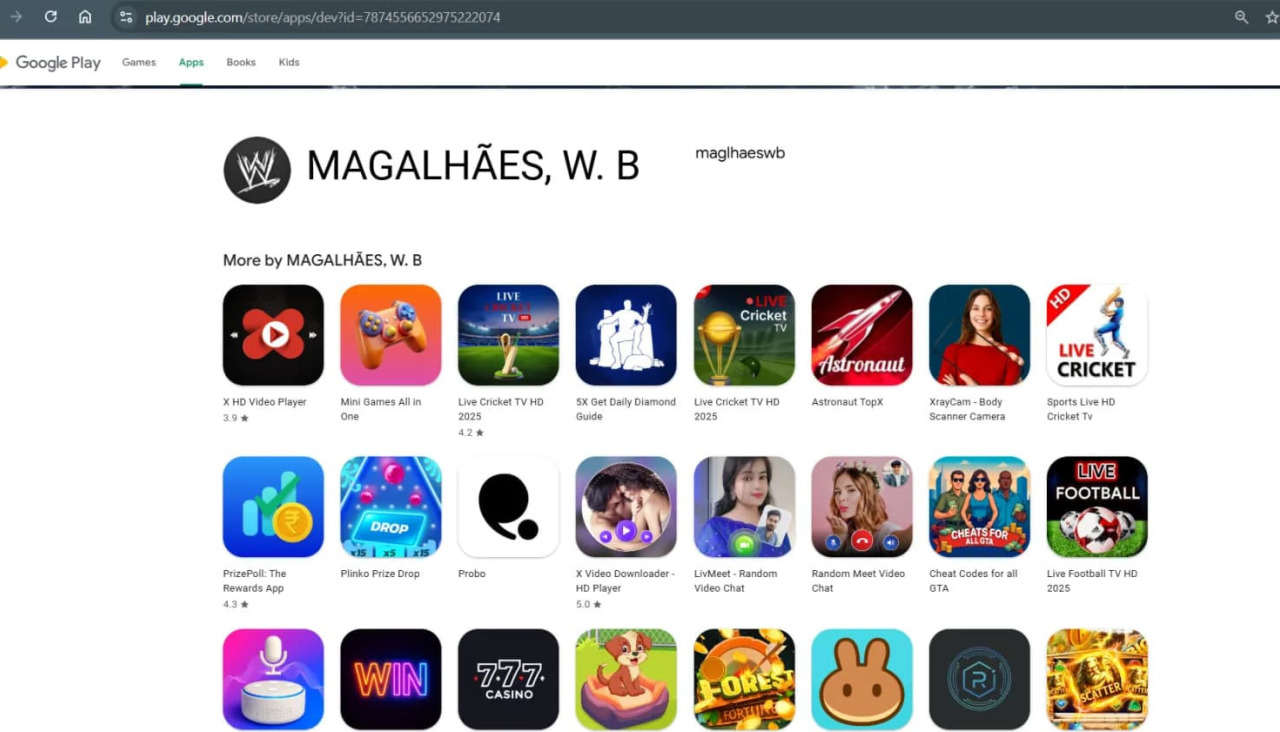 Malicious apps google play users for seed phrases 2